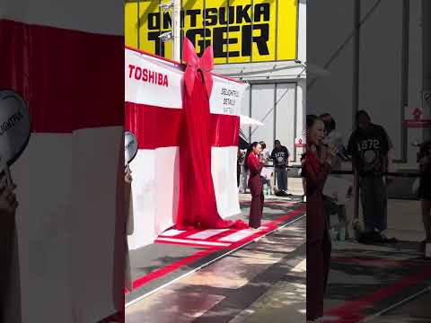 Mc Toshiba Delightful details metters2023