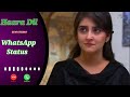 Haara Dil WhatsApp Status Ringtone Trending TikTok OST STM STUDIO