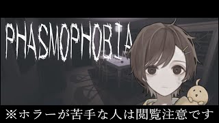 【ホラゲー】幽霊調査【phasmophobia】
