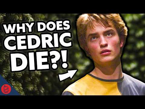 Why Does Cedric Diggory Google Autofill