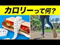 【カロリーとは】カロリーと体脂肪の関係について【ビーレジェンド プロテイン】