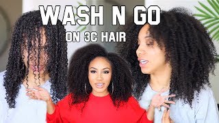 Defined Wash&#39;n Go on Dry, Damaged, Natural Hair?! HOW SWAY!?