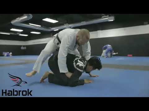 Habrok - Josh Hinger