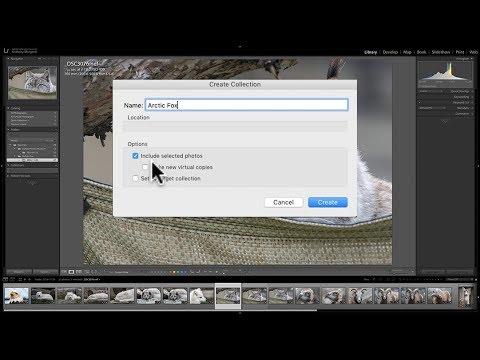 Mastering Lightroom Classic CC - 4: Collections