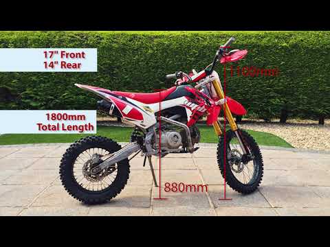 Welsh Pit Bike - Walk Around and Review