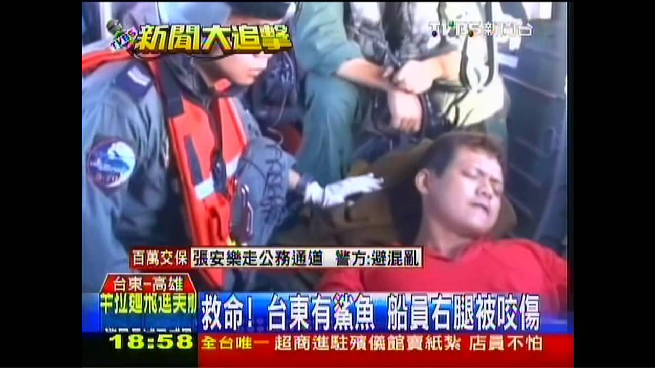 啊!台東有鯊魚 船員右腿被咬傷