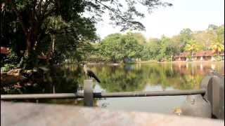 preview picture of video 'Breakfast at Vivanta Taj in Kumarakom, Kerala'