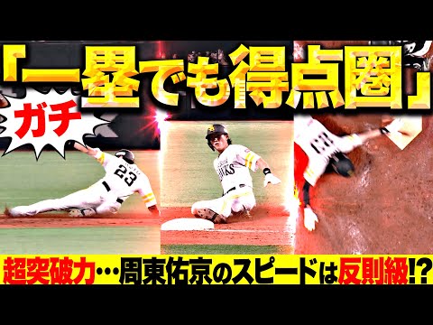 プロ野球初心者ガイド完全版【基本ルール&観戦ポイント】 34 動画サムネイル