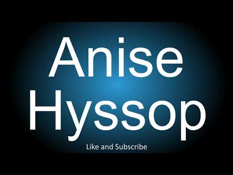 How to correctly pronounce - Anise Hyssop.