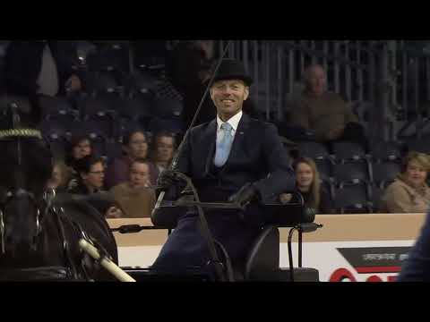 HK 2023 | Horses2Fly KFPS Sport Competition Harnesses | FINAL | French