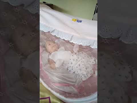 Scarlette Mave I. Adonis