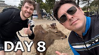 Cycling to Nara Park ft. PremierTwo & Abroad in Japan | Cyclethon 3 Day 8