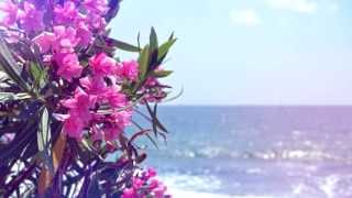 Dave Baxter - The Journey