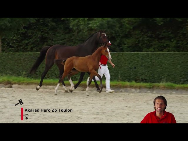 Airtime CDH