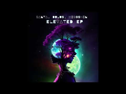 Ranta, Dulus, Miroshin - Elevated (Original Mix)
