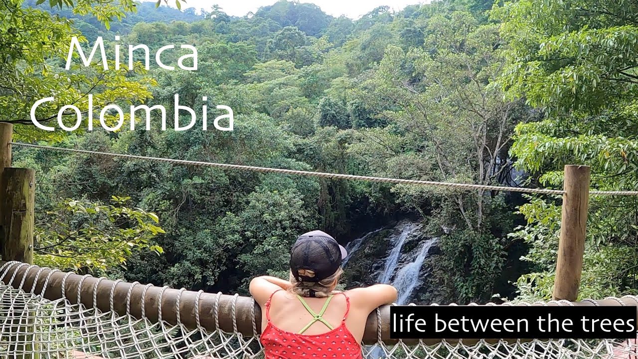 Explorando Minca Colombia EP41