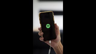 Spotify Co-CEO On The "Disco Ball" Rage