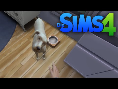 DIE SIMS 4 (+ DLCs) 🐶 SIMS in der EGO-PERSPEKTIVE?! | S01E06