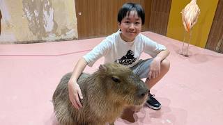 レオくんがおでかけしてみた！Moff animal cafe！ Part108 レオスマイル