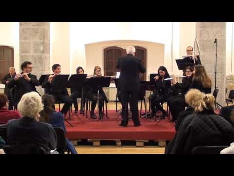 TRIESTE FLUTE ENSEMBLE - J. Strauss: Annen Polka