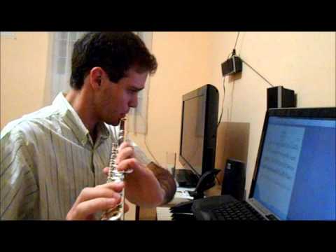 Cardcaptor Sakura flute melody (Takayuki Negishi)