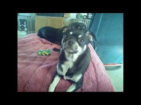 That Kind of Beautiful Contest