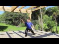 Tai Chi form - Parting the wild horses mane