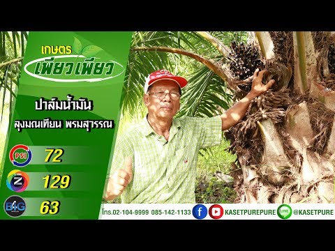 ขยายขนาดอวัยวะเพศ Tula การกระทำอย่างรวดเร็วโป๊
