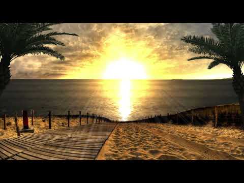 Best of Chill & Deep House 2020 | Mix vol.3 by Mixupload.com 4k