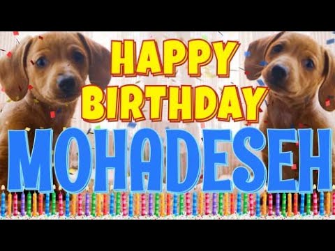 Happy Birthday Mohadeseh! ( Funny Talking Dogs ) What Is Free On My Birthday