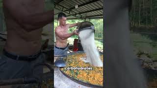 Download lagu Raising Healthy Pigs with Natural Feed mp3