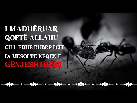 Ibn Kajim El Xheuzije Biografia | Ligjerata Islame