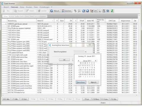 Kapitel 11: Inventur aus dem Stamm berechnen in DdD Cowis backoffice / Warenwirtschaft