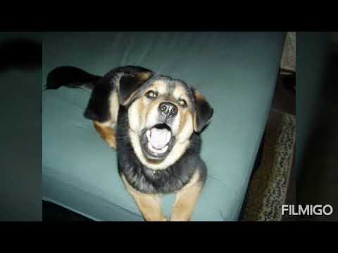 Jozy 8/15/2007 - 3/10/20