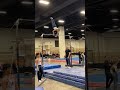 Men’s gymnastics level 8 high bar