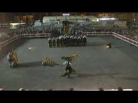 Contesa Estense Lugo 2008 - Singolo - Rione de Brozzi