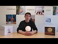 Smart Moon Lamp Gingko