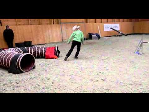 Birói vizsa verseny 2014 11 29 Missy A1 agility