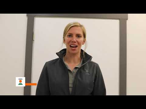 Feeding Hybrid Rye to Swine