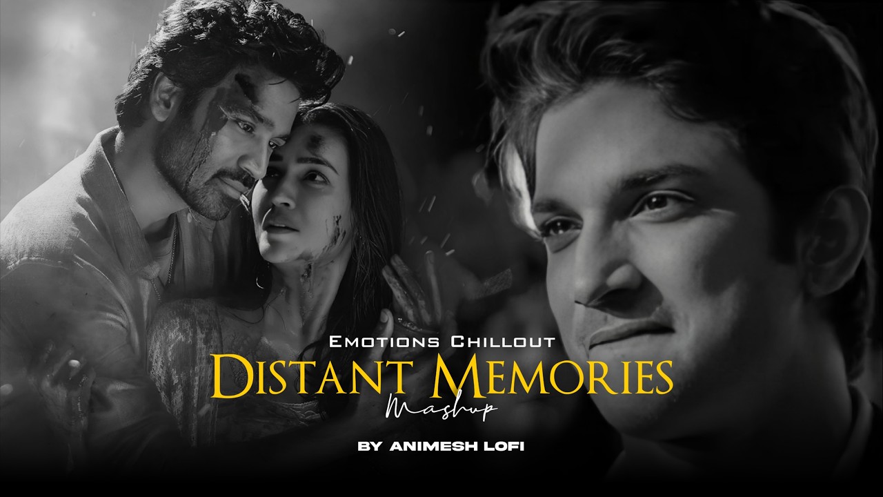 Distant Memories Mashup | Emotions Memories | Nonstop Jukebox | Animesh Lofi | Chillout Mix