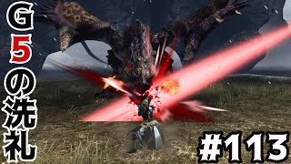 【MHXX】特殊許可G5の難易度がエグい”ソロ攻略#113【モンハンダブルクロス】