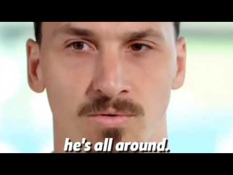 Lions don't compare themselves with humans