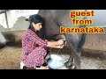 Buffalo Milking Ajj Aye Karnataka Se Guest Visit To Natha Ata Pola Pana