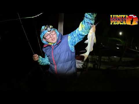 PESCA NOCTURA EN ZARATE, BUENOS AIRES - LINDA PESCA DE COSTA #pesca #zarate #fish #fishing #arg