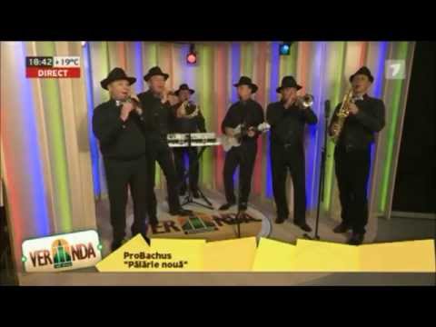 ProBachus - Palarie Noua (JurnalTV)