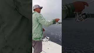 🎣 Live Bait Rig for River Walleye Fishing: Tips and Techniques! 🐟🎯