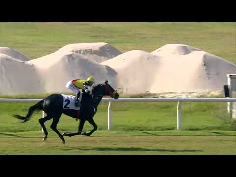 230312 c04 RASTA MADIBA