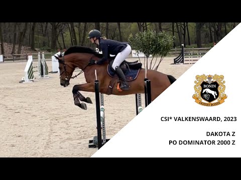 CSI VALKENSWAARD 2023, DAKOTA Z PO DOMINATOR  2000 Z, 5 Y.O.