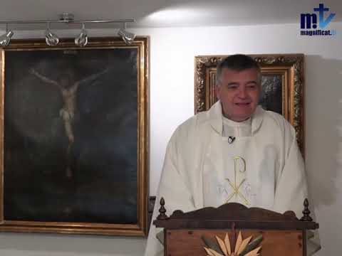 Padre Santiago. Homilía. Octubre 15 2019. San Mateo 11,25-30.