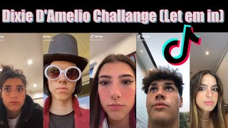 Let em in | DIXIE D’AMELIO CHALLENGE